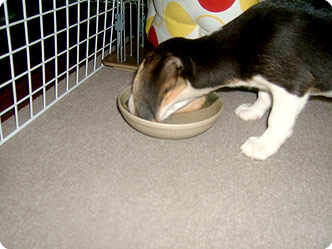 070628-1.jpg