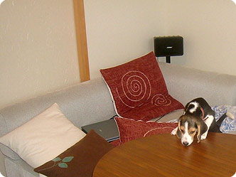070730-2.jpg
