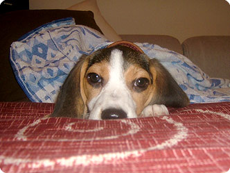 070731-2.jpg