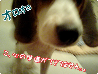 070831-2.jpg