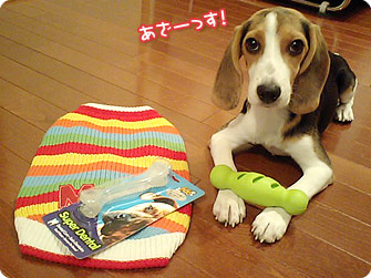 070928-1.jpg