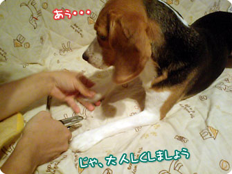 じゃ、大人しくしてましょう