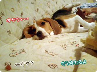 もう終わるよ