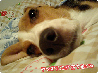 やっぱりここが落ち着くね