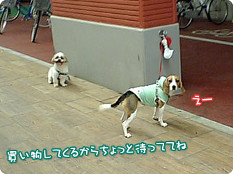買い物してくるから待っててね