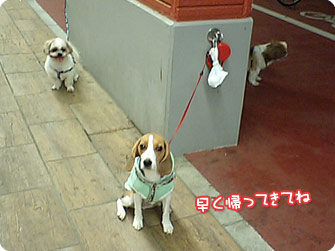 早く帰ってきてね