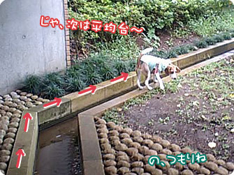 じゃ、次は平均台~