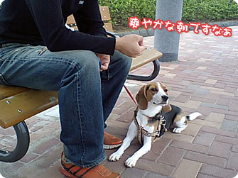 爽やかな朝ですなぁ