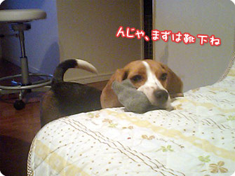 んじゃ、まずは靴下ね