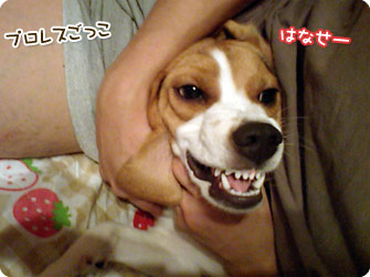 プロレスごっこ