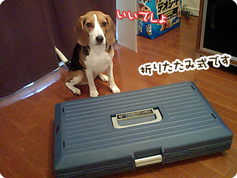 折りたたみ式です
