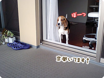 窓開いてます