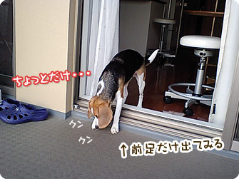 前足だけ出てみる