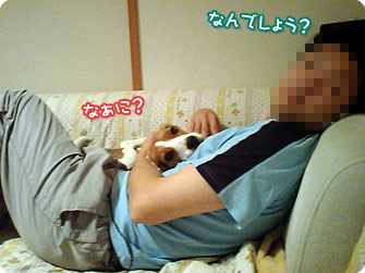 振り向きなこ