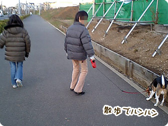 散歩でルンルン