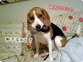 ボーッ