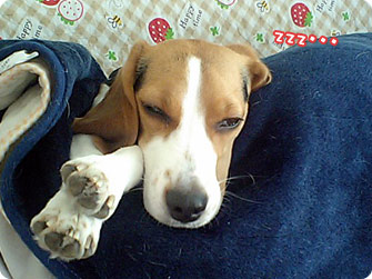 zzz・・・