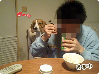 食事中