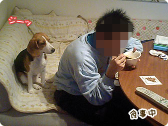 食事中その2