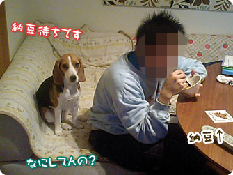 納豆待ちです