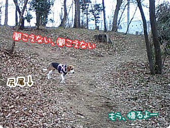 聞こえない、聞こえない