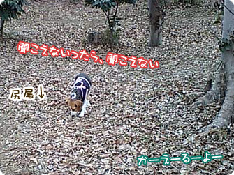聞こえないったら、聞こえない
