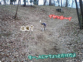 イヤッホーイ