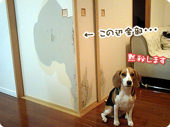 その5