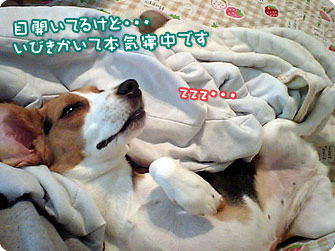 zzz・・・