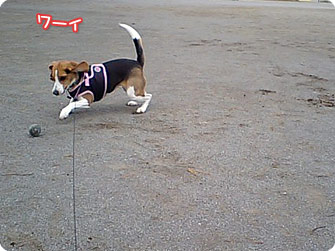 ワーイ