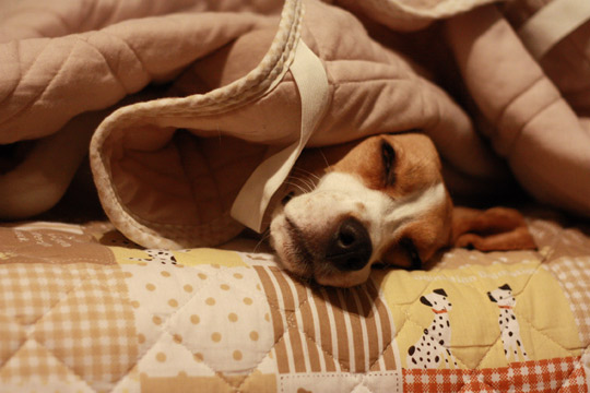 zzz・・・