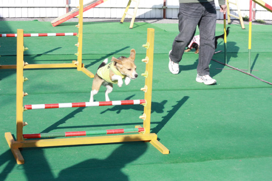 ジャンプ
