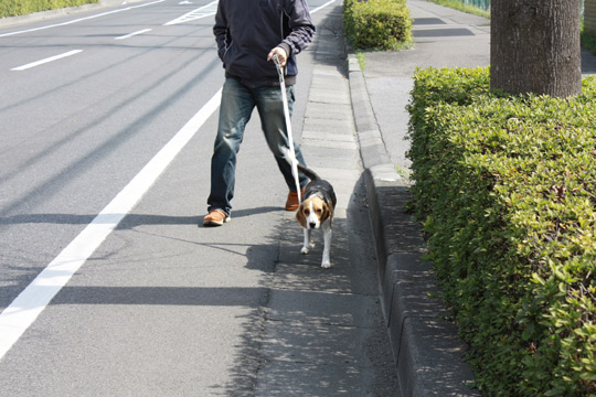 ルンルン