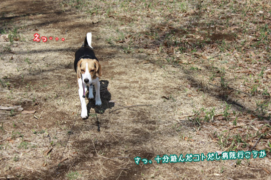 えっ・・・