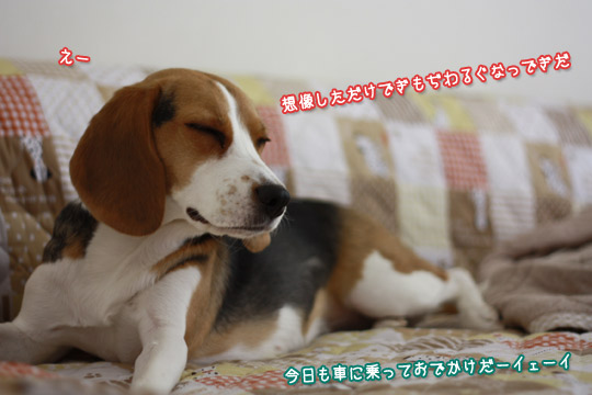 おでかけおでかけ