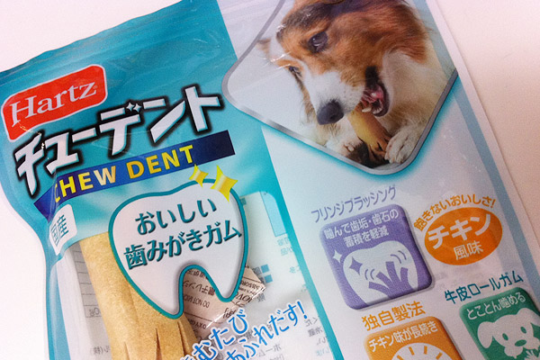 ビーグル きなこ こんぶ