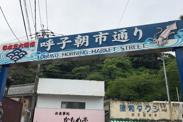 ビーグル きなこ こんぶ