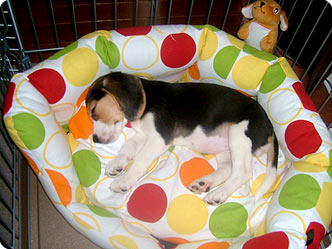 070624-2.jpg
