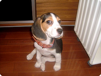 070712-1.jpg
