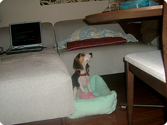 070804-1.jpg