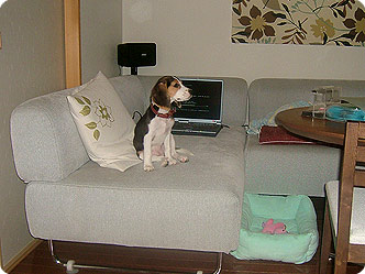 070804-2.jpg