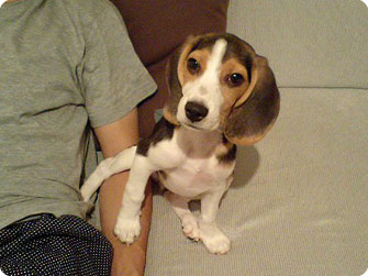 070812-1.jpg