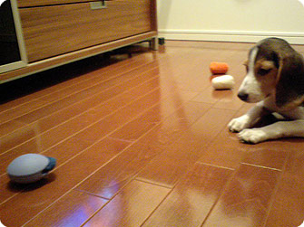 070812-2.jpg