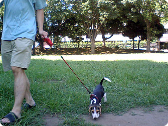 070813-3.jpg