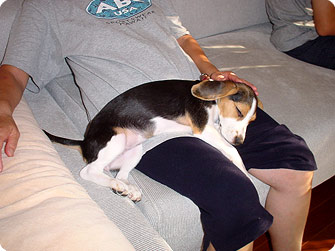 070815-1.jpg