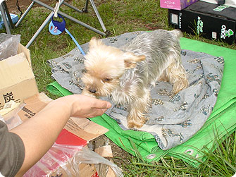 070901-2.jpg