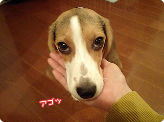 071101-1.jpg