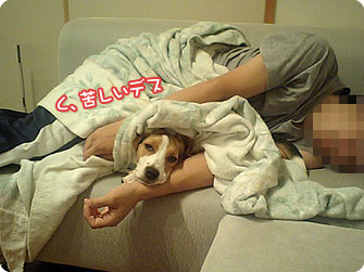 071110-3.jpg