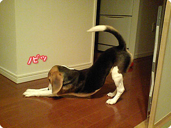 071110-5.jpg