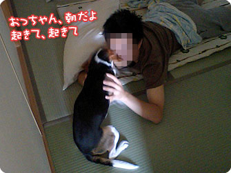 おっちゃん朝だよ。起きて起きて